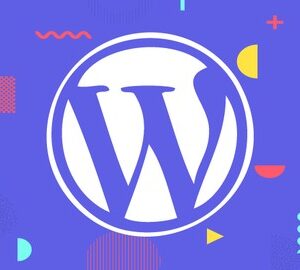 Complete WordPress Developer Course – Plugins & Themes