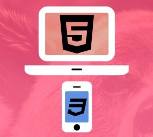 Web Designing for Beginners: Real World Coding in HTML & CSS