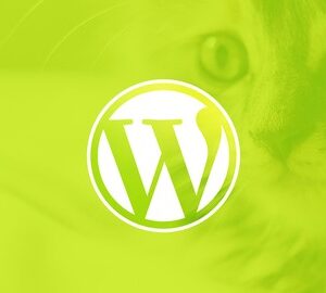 WordPress for Beginners: Create a Website Step by Step